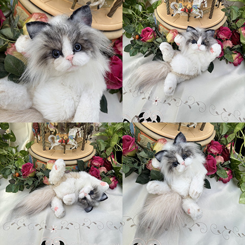 AICO BEAR 川本 愛子先生 1dayレッスン 関西 大阪 第6弾 都島 受講者募集中！