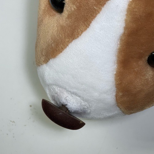 シナダ だいちゃん 犬のぬいぐるみ 全長約40㎝:ビフォー2